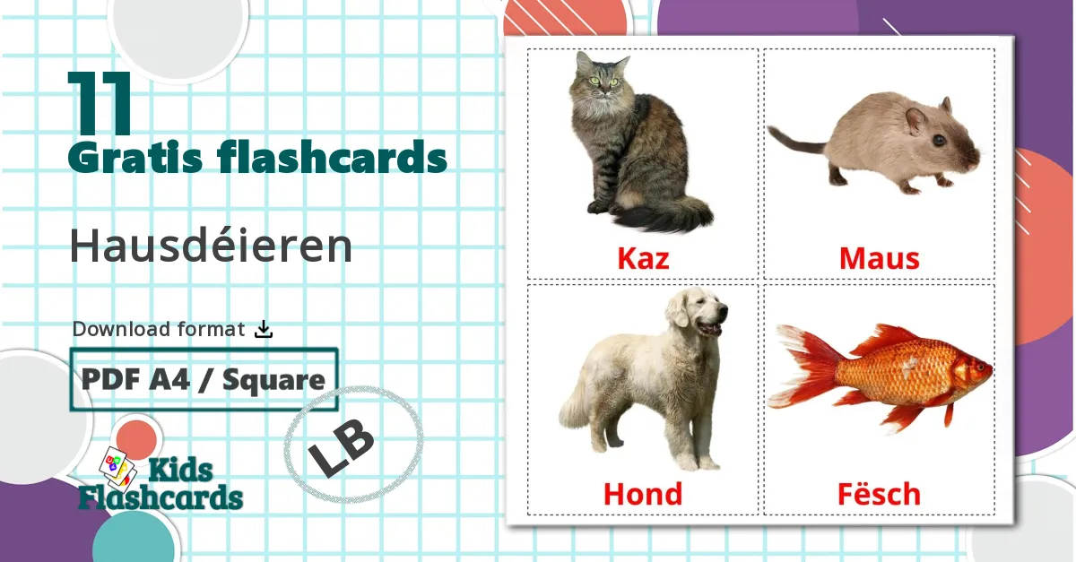 11 Hausdéieren billedkort for børn