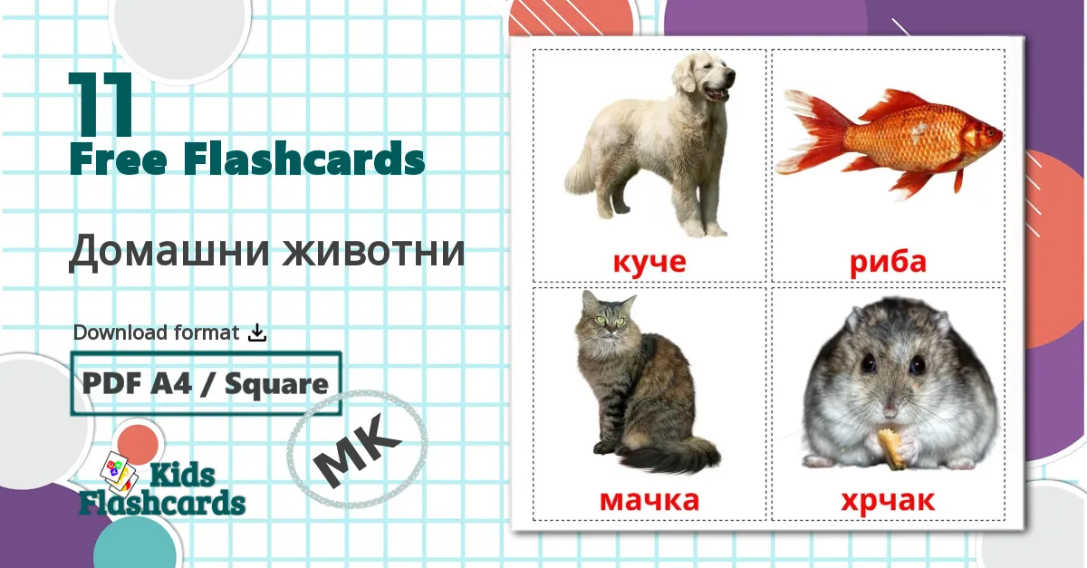 11 Домашни животни flashcards