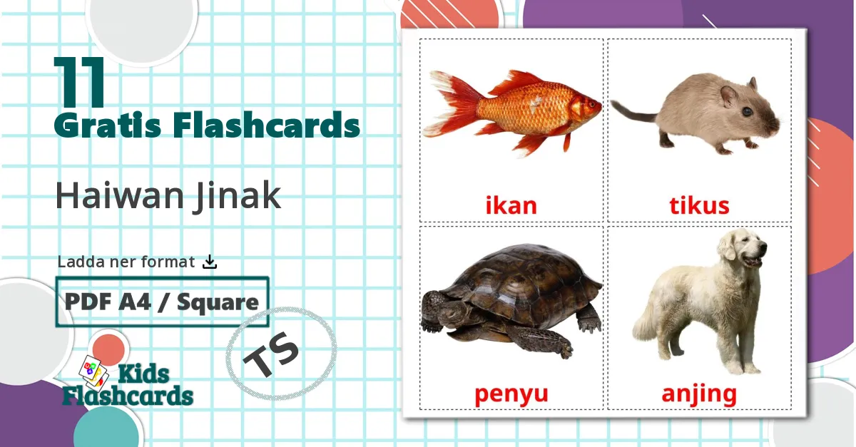 11 Haiwan Jinak bildkort för barn