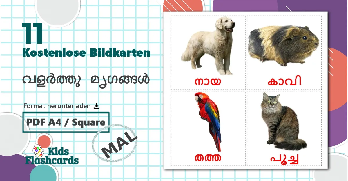 11 Bildkarten für വളർത്തു മൃഗങ്ങൾ