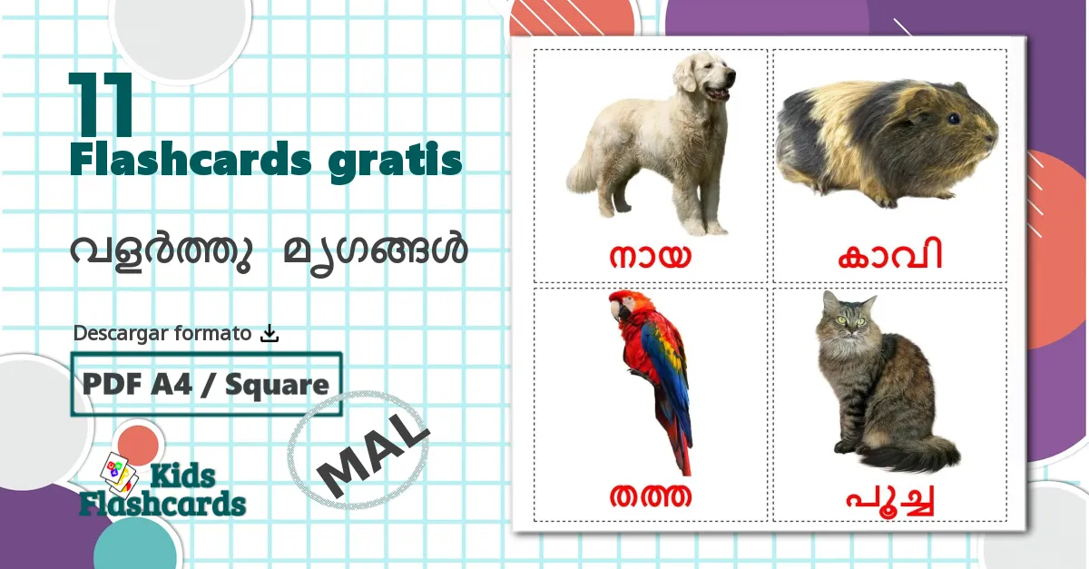 11 tarjetas didacticas de വളർത്തു മൃഗങ്ങൾ