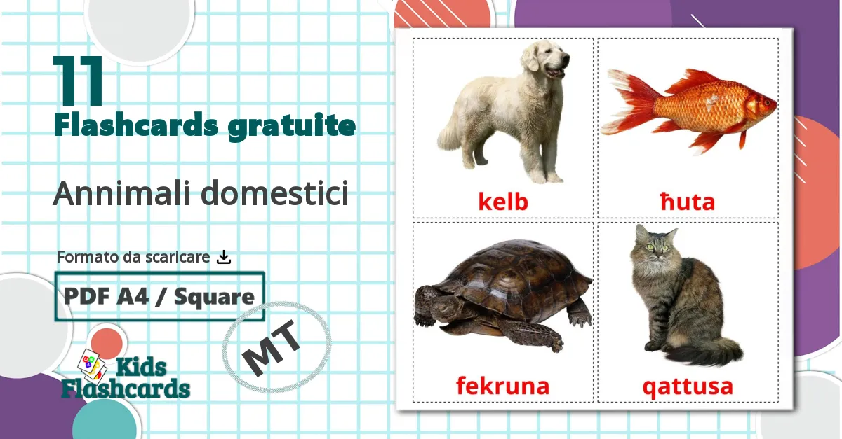 11 flashcards di Animali Domestici