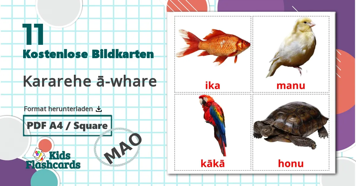 11 Bildkarten für Kararehe ā-whare