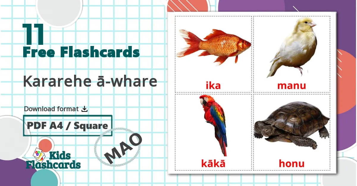 11 Kararehe ā-whare flashcards