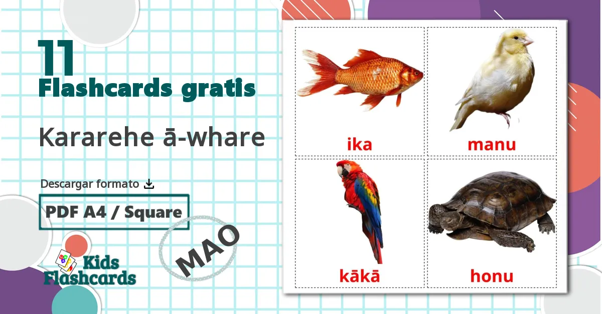 11 tarjetas didacticas de Kararehe ā-whare