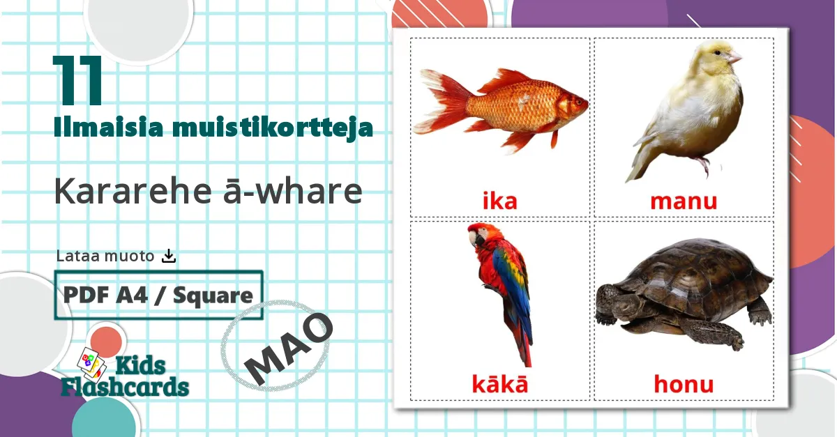 11 Kararehe ā-whare lasten kuvakortit