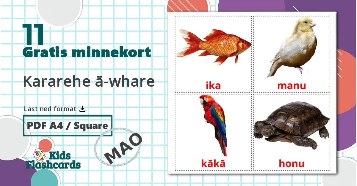11 Kararehe ā-whare bildekort