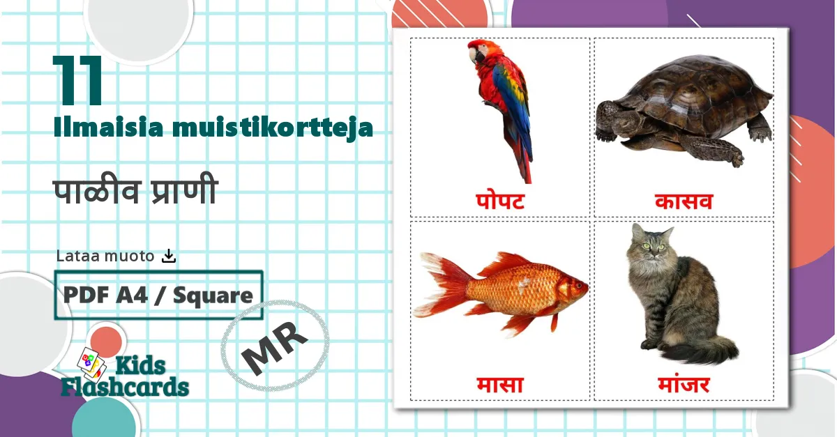 11 पाळीव प्राणी lasten kuvakortit