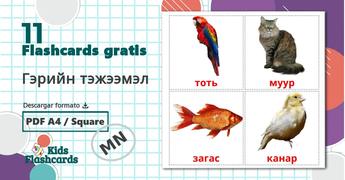 11 tarjetas didacticas de Animales Domésticos