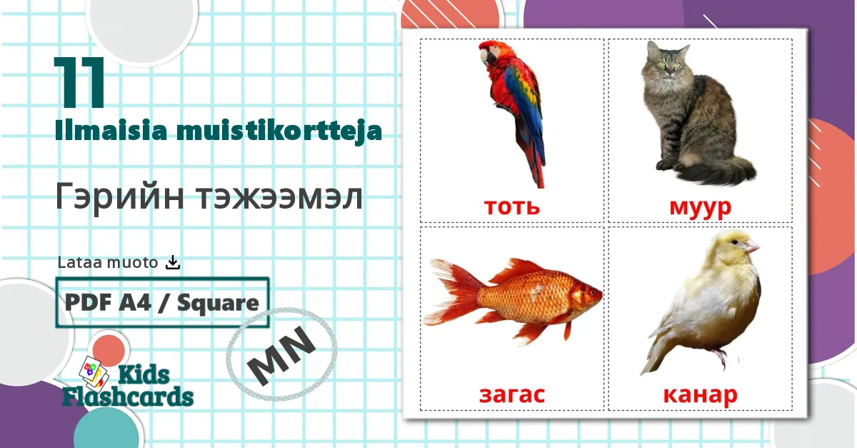 11 Гэрийн тэжээмэл lasten kuvakortit