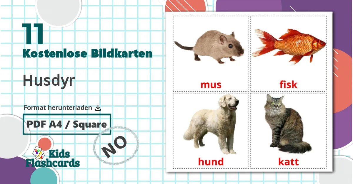 11 Bildkarten für Husdyr