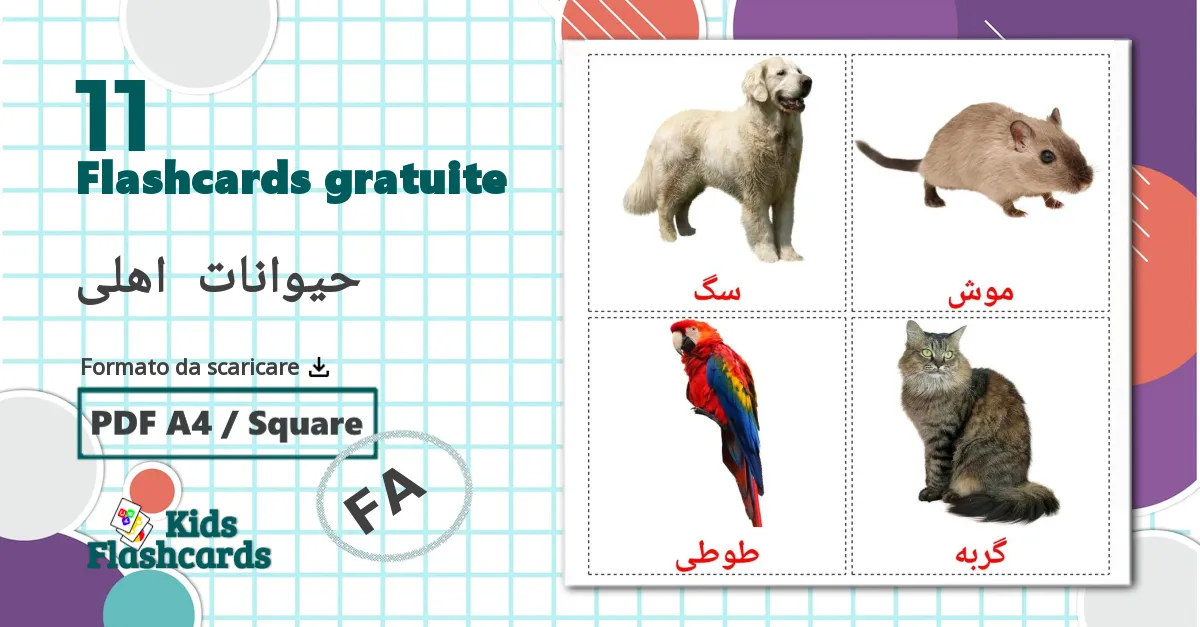 11 flashcards di حیوانات  اهلی