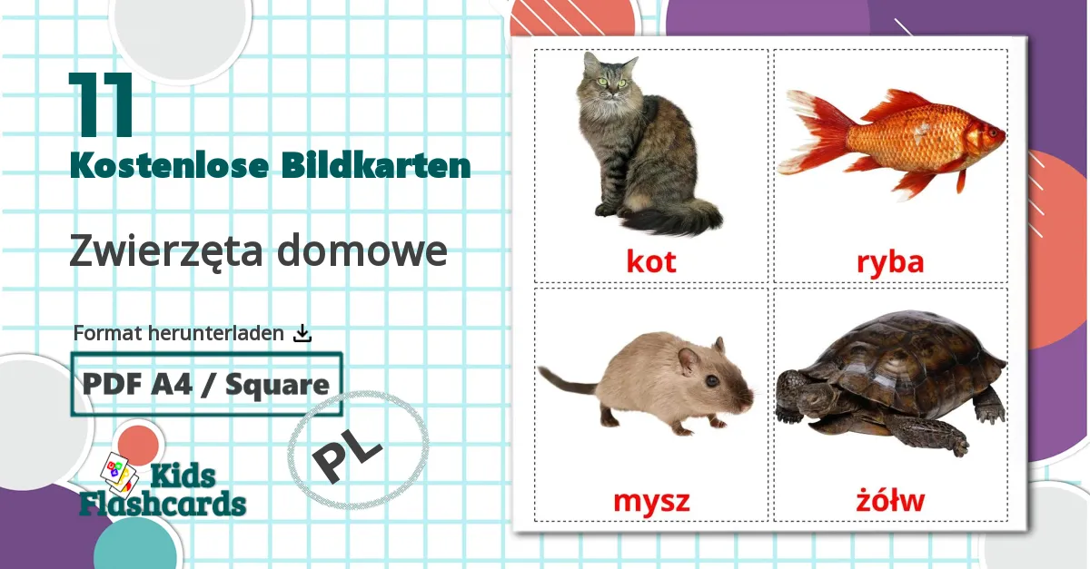 11 Bildkarten für Zwierzęta domowe