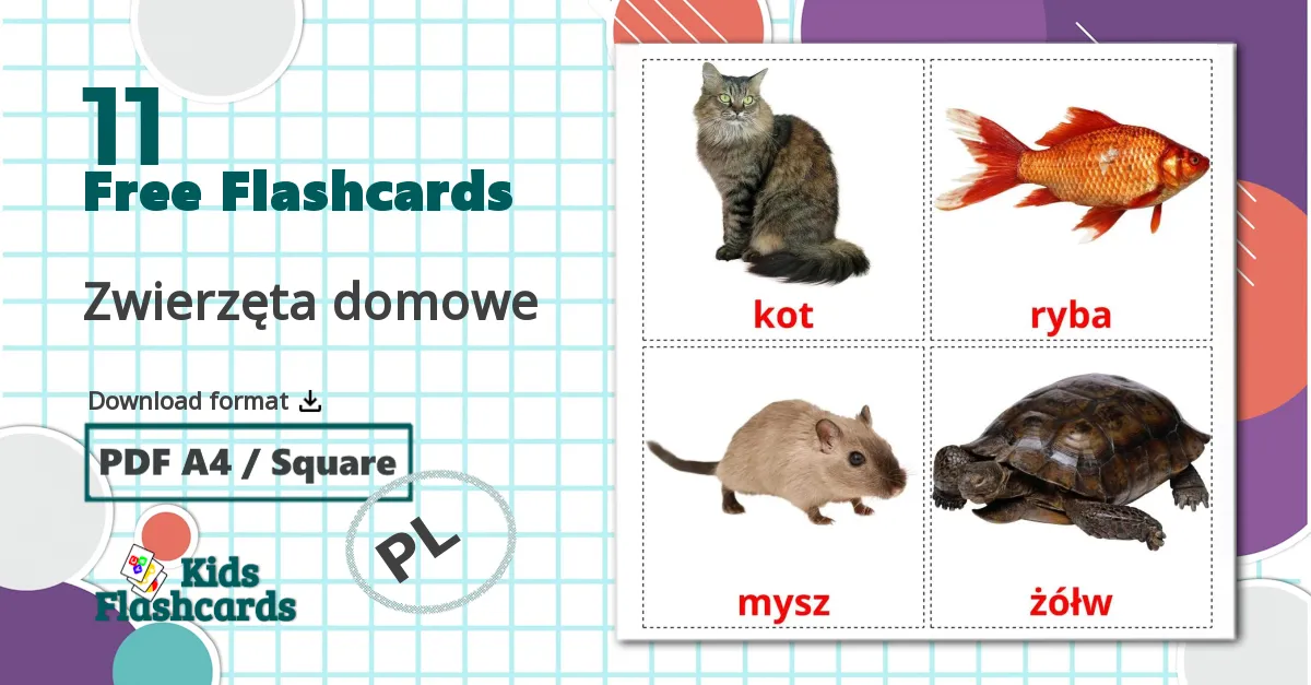 11 Zwierzęta domowe  flashcards