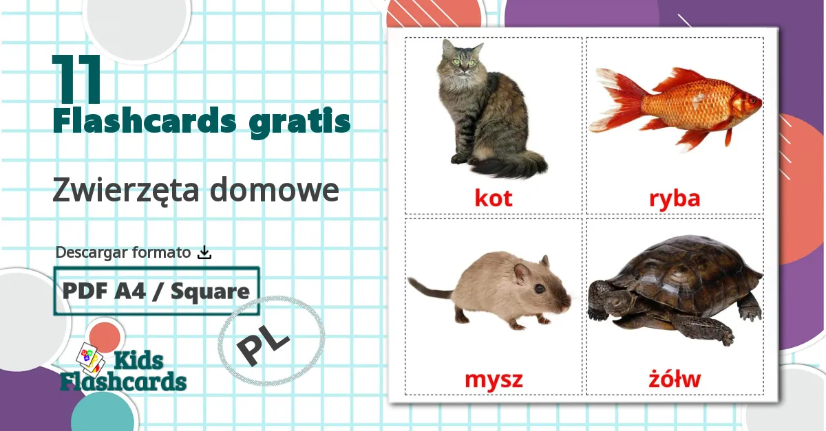 11 tarjetas didacticas de Zwierzęta domowe