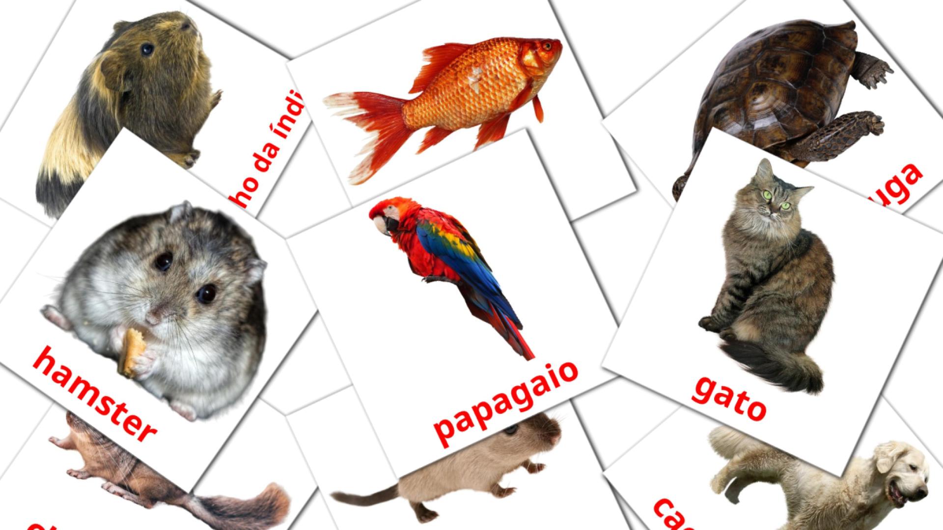 tarjetas didacticas de Animais domésticos 