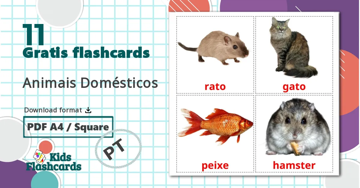 11 Animais Domésticos  billedkort for børn