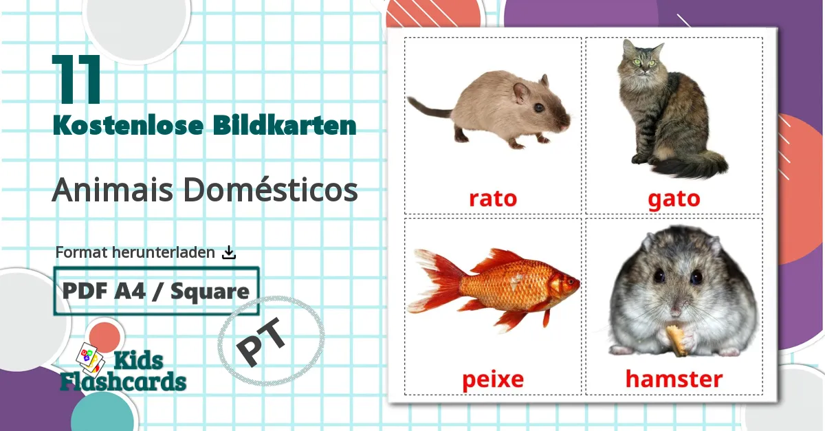 11 Bildkarten für Animais Domésticos