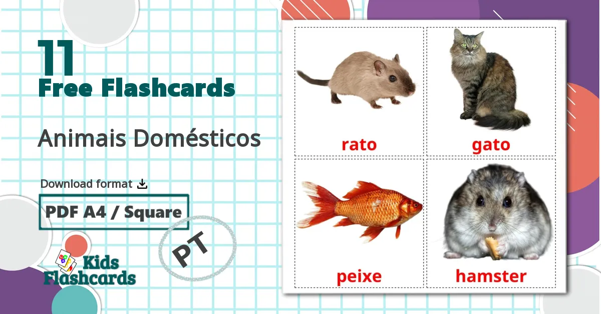 11 Animais Domésticos  flashcards