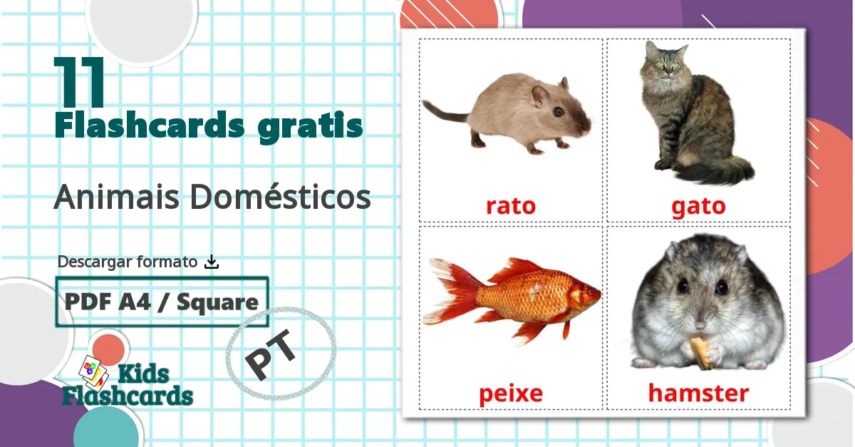 11 tarjetas didacticas de Animais Domésticos