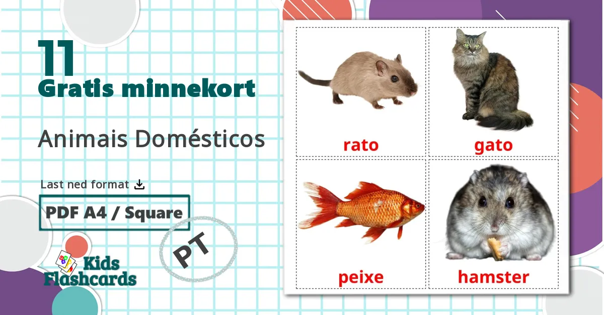 11 Animais Domésticos bildekort