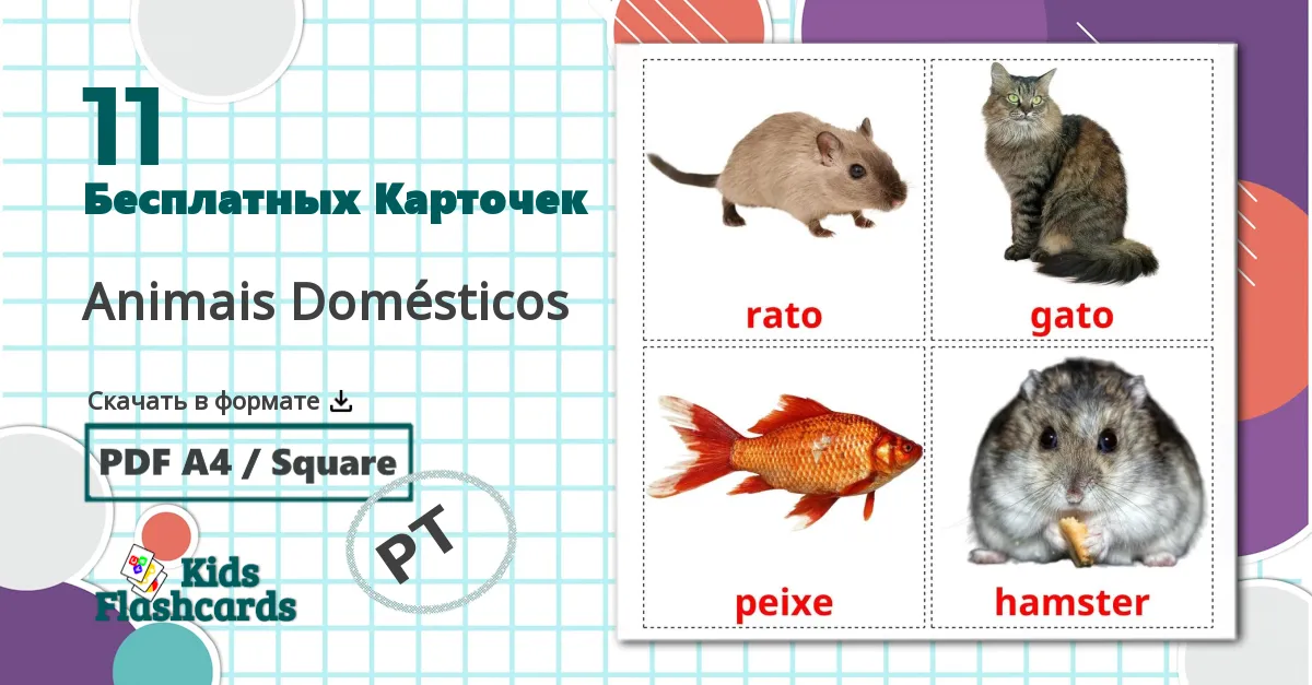 11 Карточки Домана Animais Domésticos