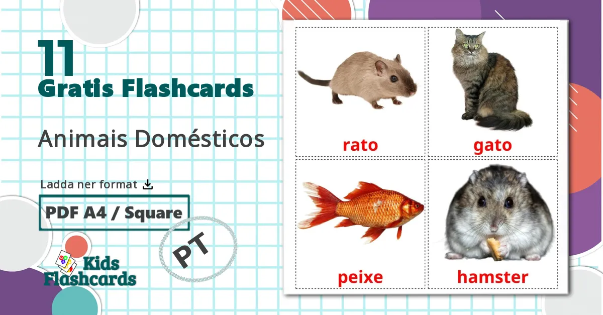 11 Animais Domésticos bildkort för barn