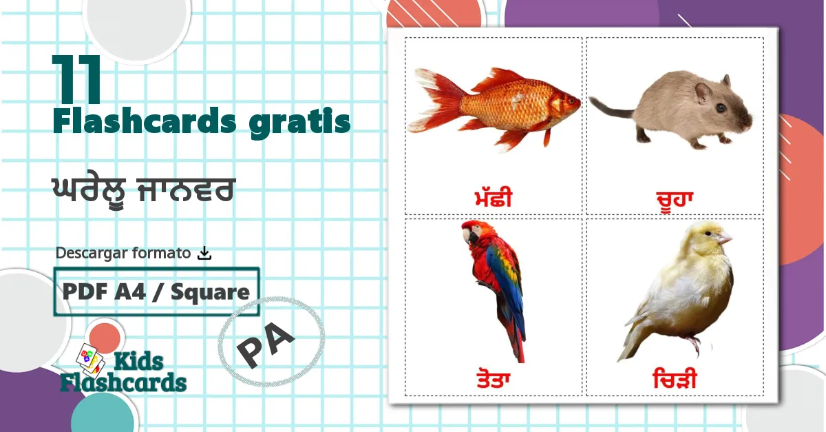 11 tarjetas didacticas de ਘਰੇਲੂ ਜਾਨਵਰ