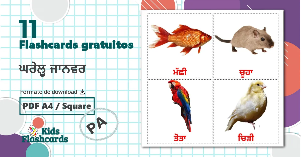 11 Flashcards de ਘਰੇਲੂ ਜਾਨਵਰ