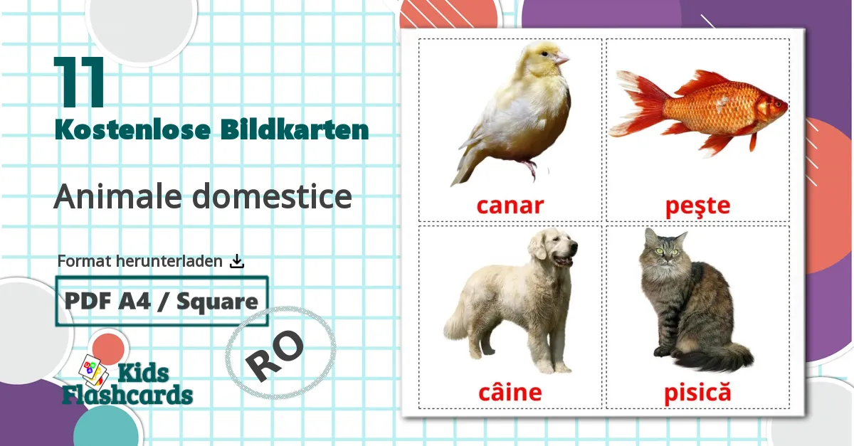 11 Bildkarten für Animale domestice