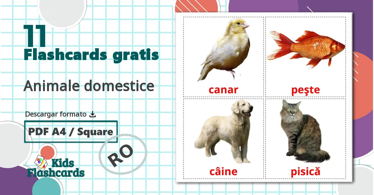 11 tarjetas didacticas de Animale domestice