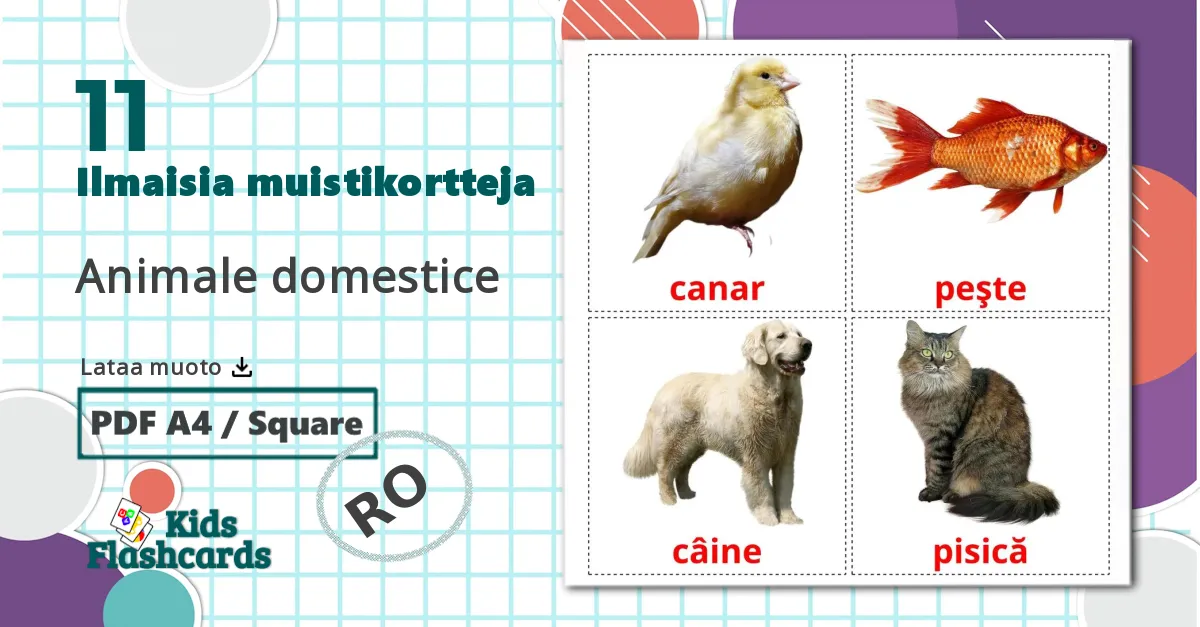 11 Animale domestice lasten kuvakortit