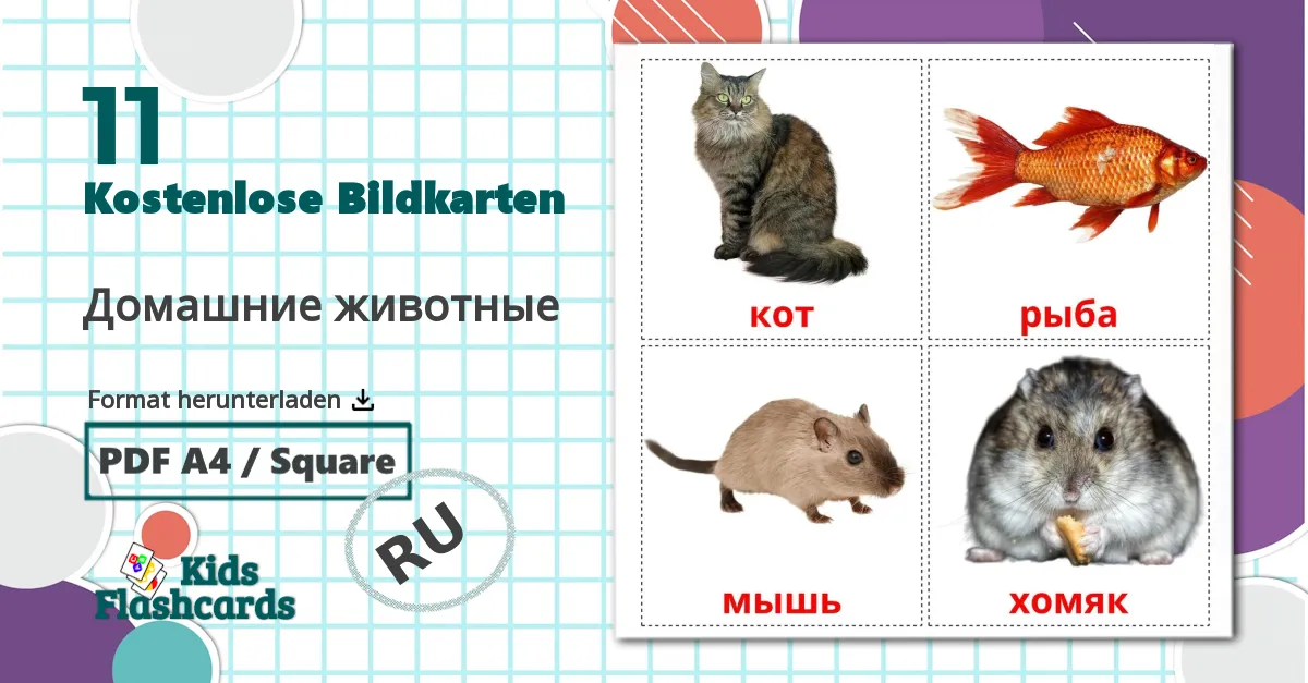 11 Bildkarten für Домашние животные