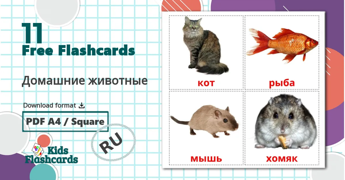 11 Домашние животные flashcards