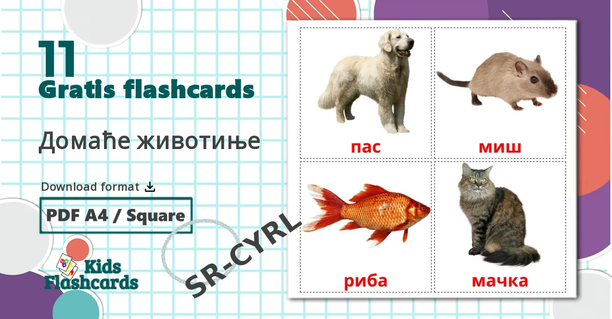 11 Домаће животиње billedkort for børn