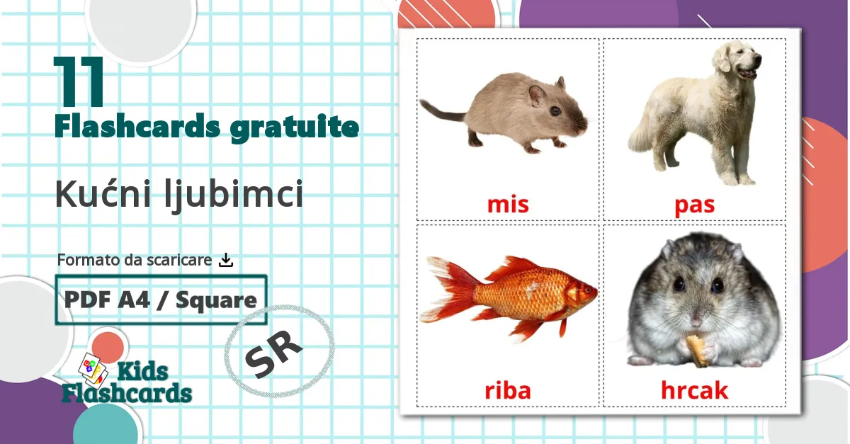 11 flashcards di Kućni ljubimci