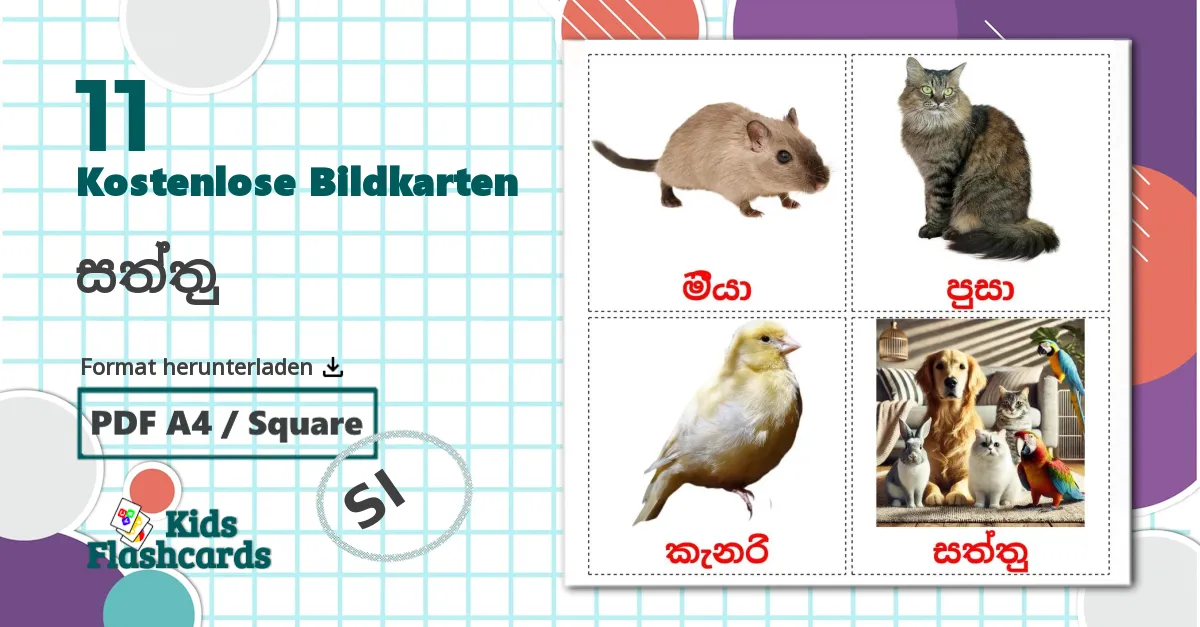 11 Bildkarten für සත්තු