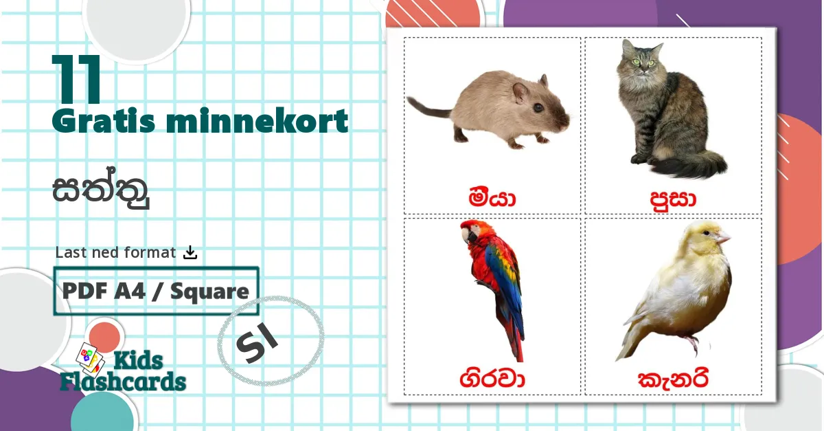 11 සත්තු bildekort