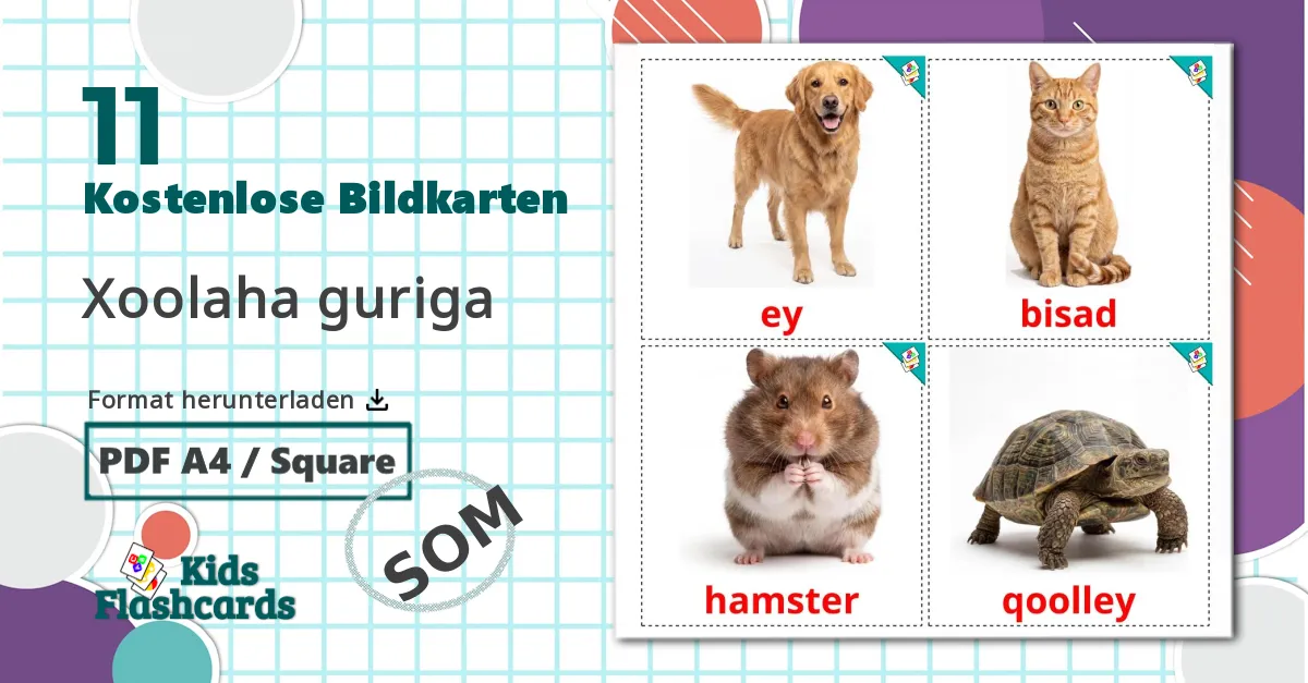 11 Bildkarten für Haustiere
