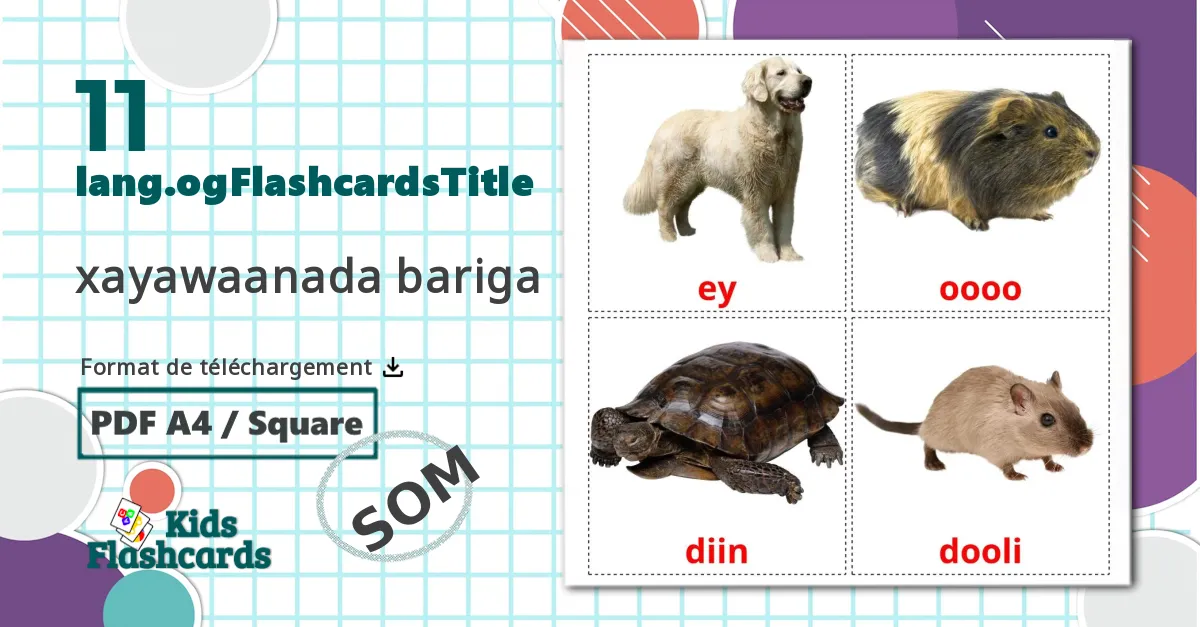 12 Imagiers Baies