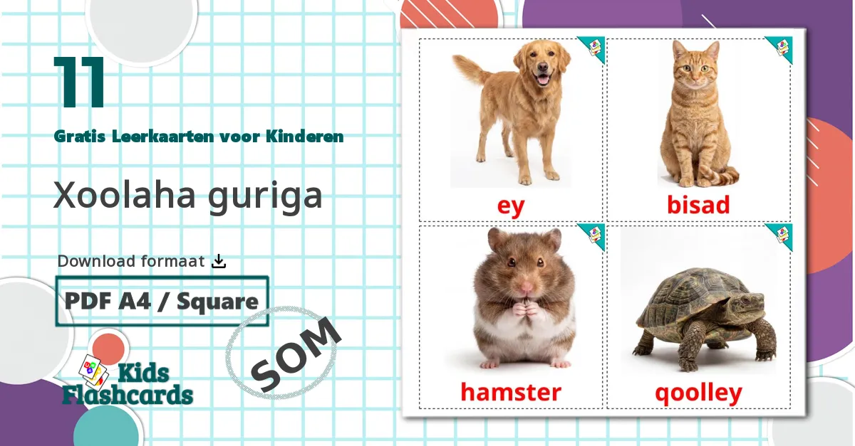 11 Huisdieren Leerkaarten voor kinderen