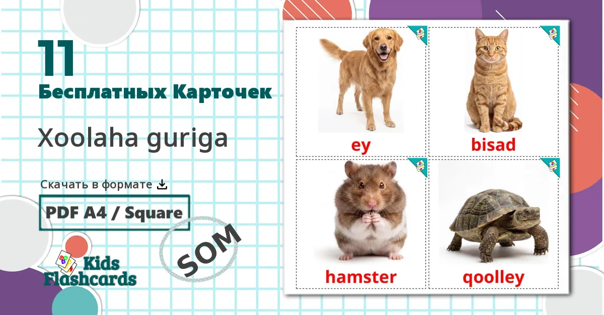 11 Карточки Домана Домашние животные