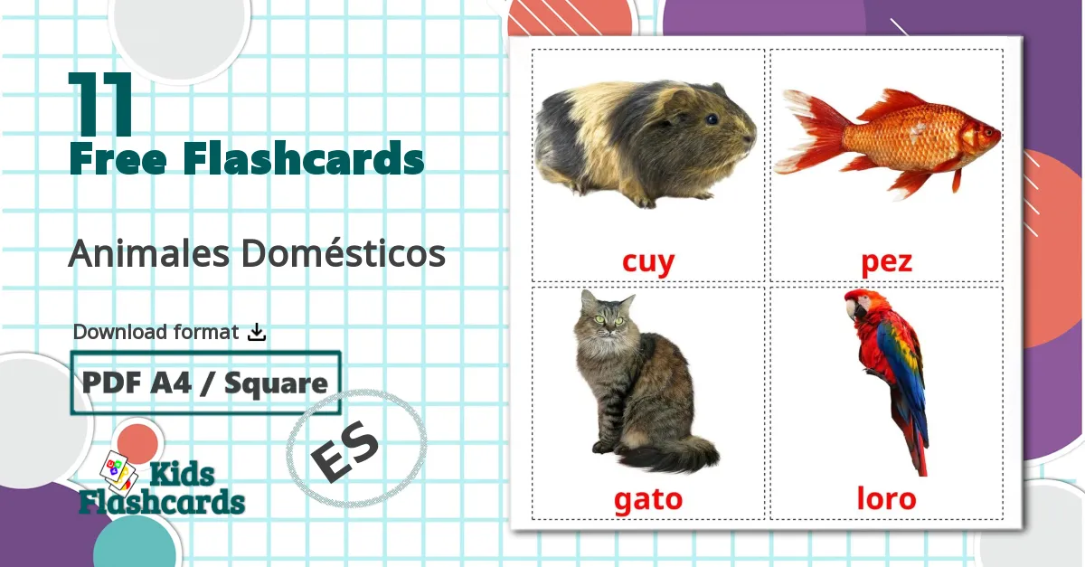 11 Animales Domésticos flashcards