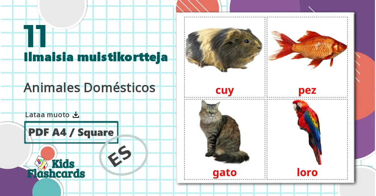 11 Animales Domésticos lasten kuvakortit