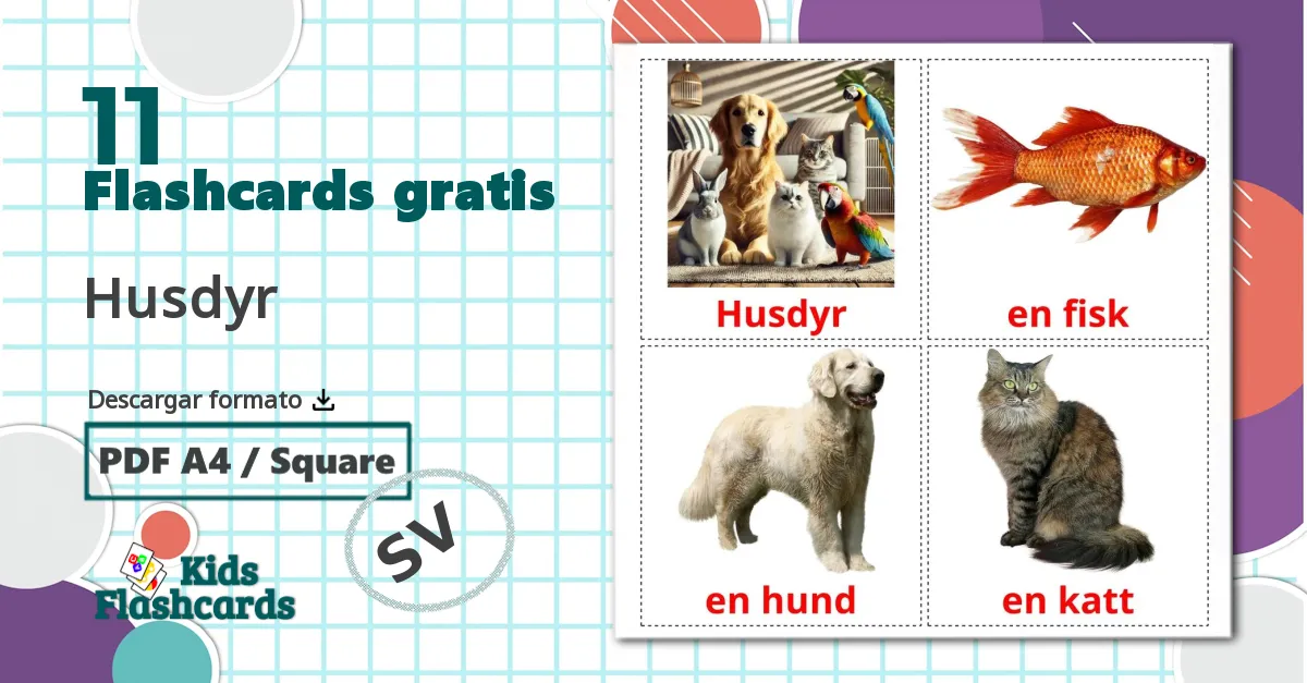 11 tarjetas didacticas de Husdyr