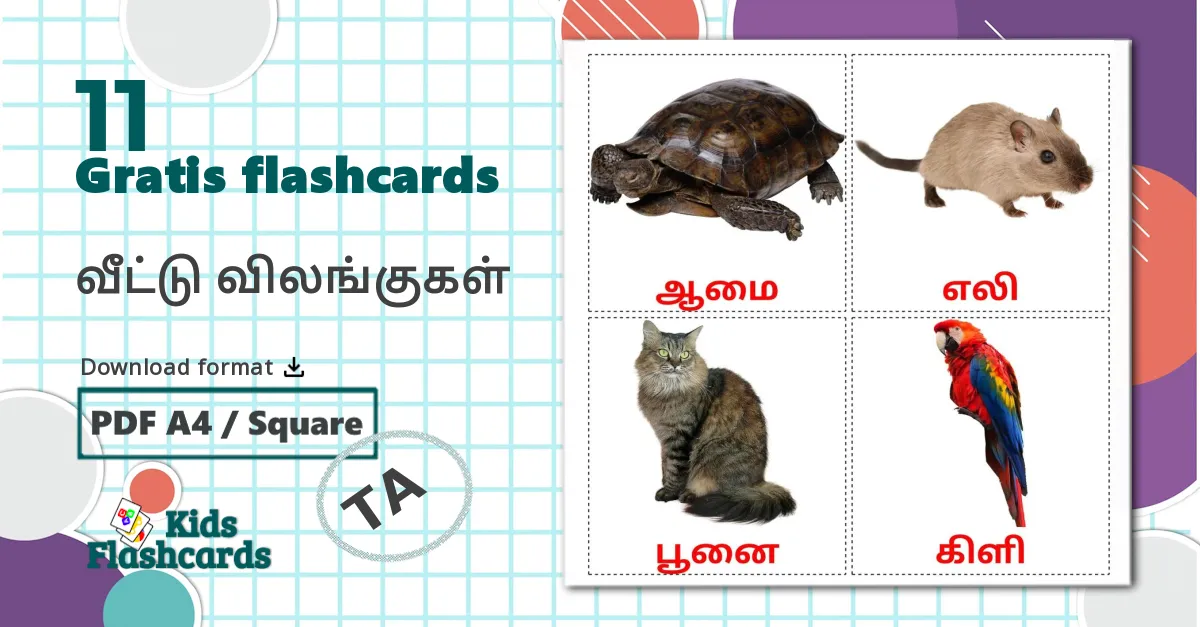 11 வீட்டு விலங்குகள்  billedkort for børn