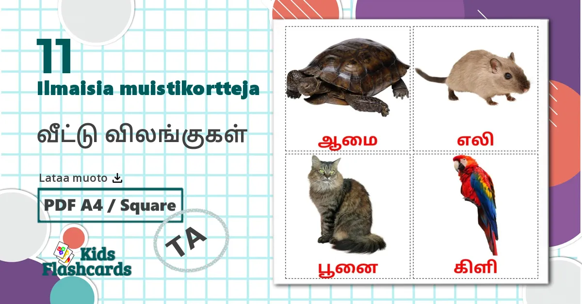 11 வீட்டு விலங்குகள்  lasten kuvakortit