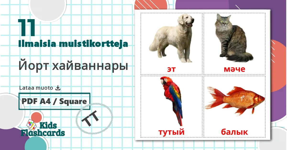 11 Йорт хайваннары lasten kuvakortit
