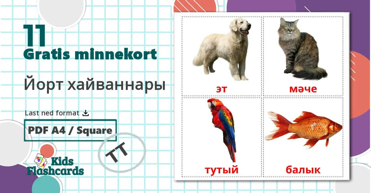 11 Йорт хайваннары bildekort