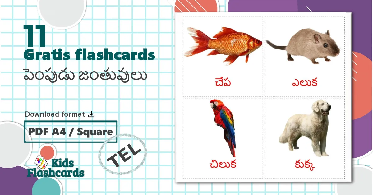 11 పెంపుడు జంతువులు billedkort for børn